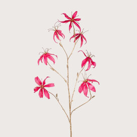 Gloriosa Tak Velvet Goud/Roze H108