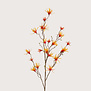Hamamelis Branch Orange H120
