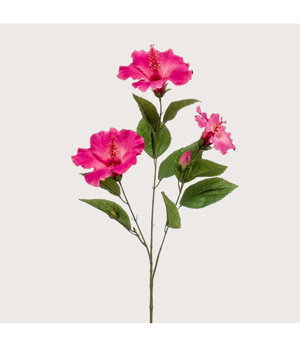 Hibiscus Branch Pink H82