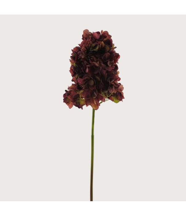 Hydrangea Branch Dark Pink H80