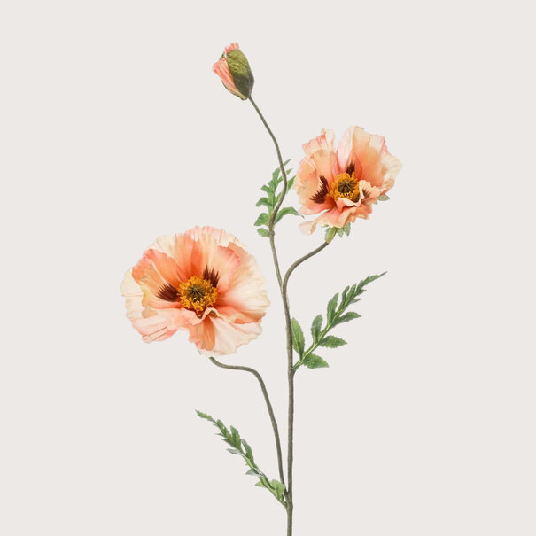 Poppy (3-branch) Peach H90