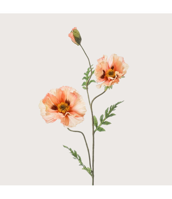 Poppy (3-branch) Peach H90