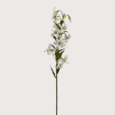Lily Branch Cream H82