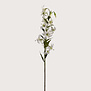 Lily Branch Cream H82