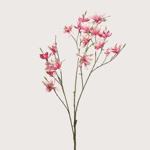 Magnolia Branch Pink H135