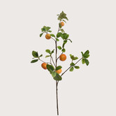 Mandarijn Tak Oranje H104cm