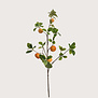 Tangerine Branch Orange H104cm