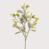Mimosa Branch Yellow H110