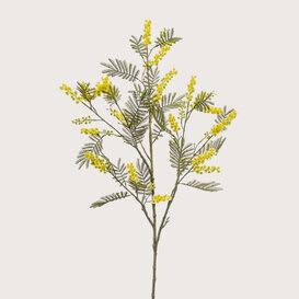 Mimosa Tak Geel H110