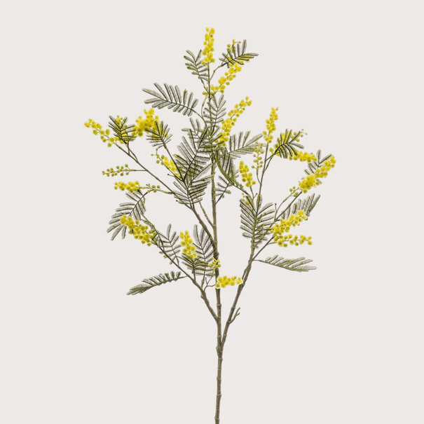 Mimosa Tak Geel H110