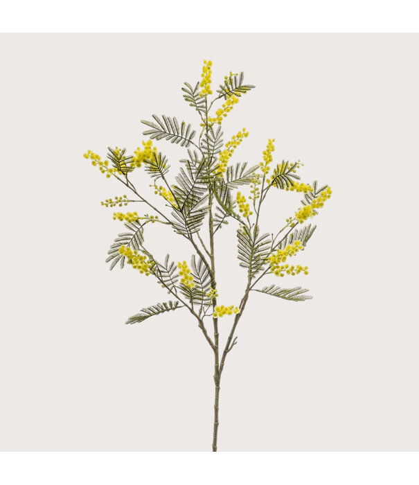 Mimosa Tak Geel H110