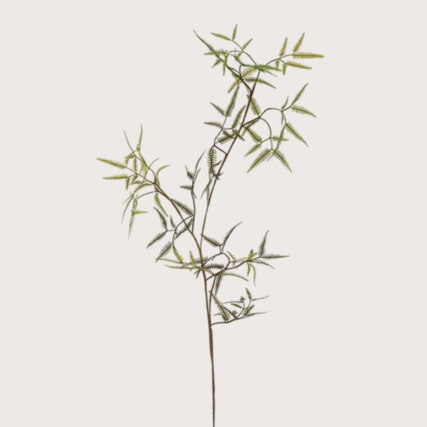 Mini Fern Branch Green H110