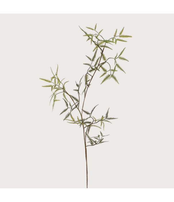 Mini Fern Branch Green H110