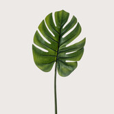 Monstera Blad Groen H73