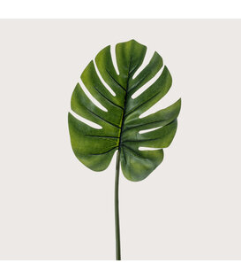 Monstera Blad Groen H73