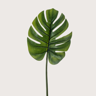 Monstera Leaf Green H73