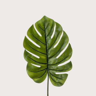 Monstera Leaf XL Green H95