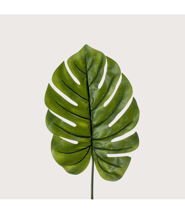 Monstera Leaf XL Green H95