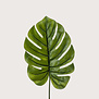 Monstera Blad XL Groen H95