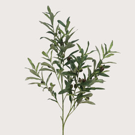 Olive Branch Green H100