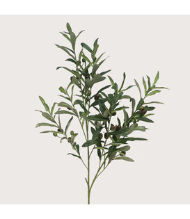 Olijftak Groen H100