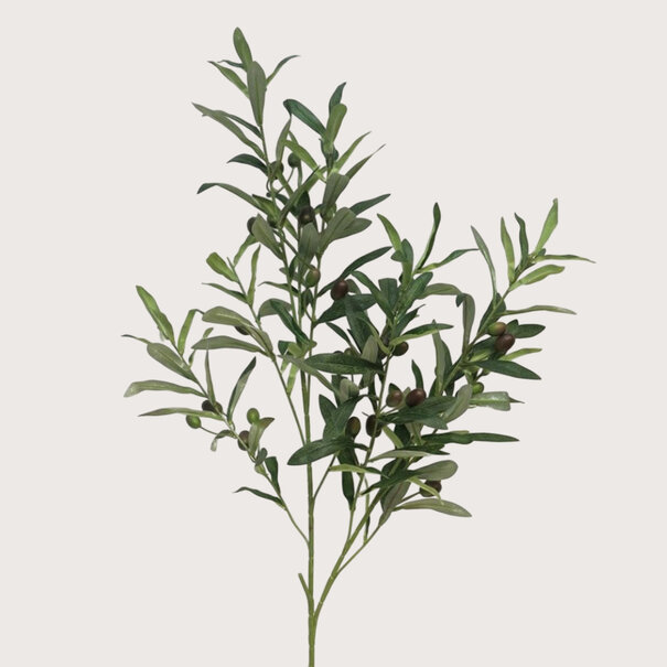 Olive Branch Green H100
