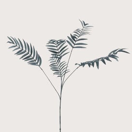 Palm Branch Black H110