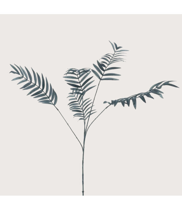 Palm Branch Black H110