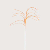 Plum grass Branch Orange D14 H150