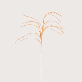 Plum grass Branch Orange D14 H150