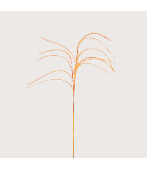 Plum grass Branch Orange D14 H150