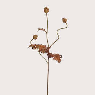 Poppy 3-Tak Bruin H94