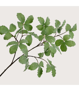 Ribbed Leaf Branch Green H157