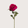 Rose Deluxe Pink H80