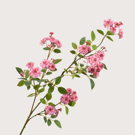 Roos Steel Roze H100