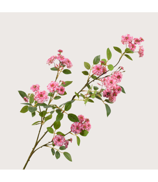 Roos Steel Roze H100