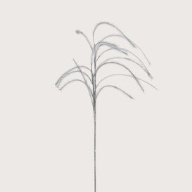 Plum grass Branch Grey D14 H150