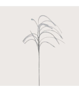 Plum grass Branch Grey D14 H150