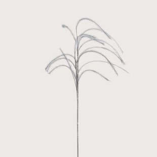 Plum grass Branch Grey D14 H150