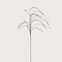 Plum grass Branch Grey D14 H150