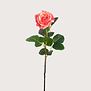 Rose Pink H68