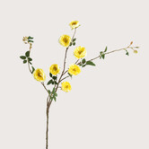 Rose Branch Yellow H116