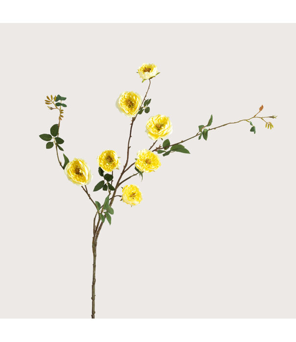 Rose Branch Yellow H116