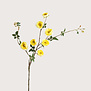 Rose Branch Yellow H116