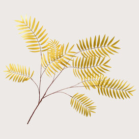 Fern Branch Yellow H122