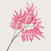 Fern Branch Pink H166