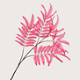 Varen Tak Roze H166