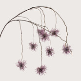 Xanthium hangend Paars H120