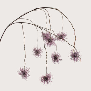 Xanthium hangend Paars H120