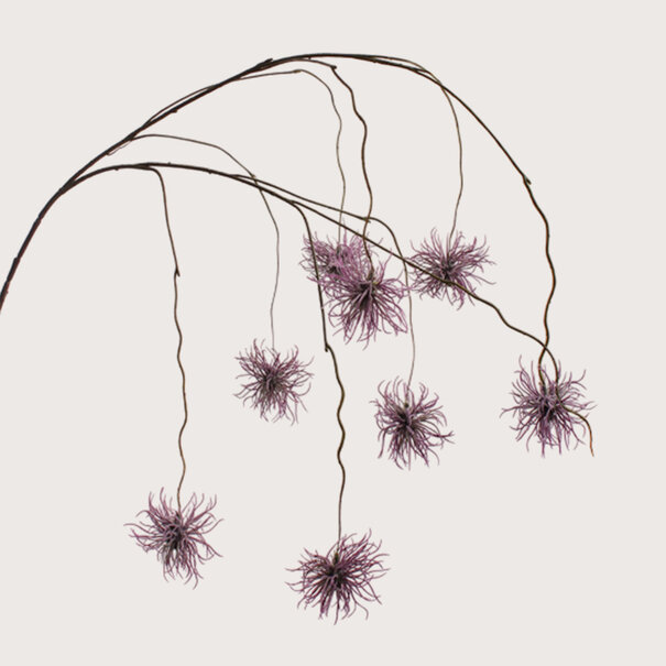 Xanthium hangend Paars H120